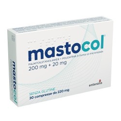 Epitech Mastocol 30...