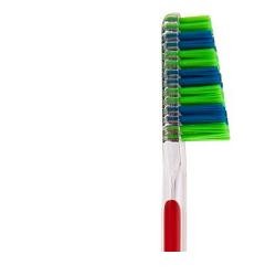 Taumarin Spazzolino Scalare...