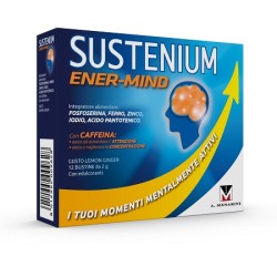Sustenium Memo Energy Break...