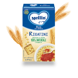 Danone Mellin Rigatini 280 G