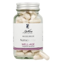 I. C. I. M. Internation...