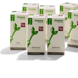 Fitomedical Agnocasto 100ml Mg
