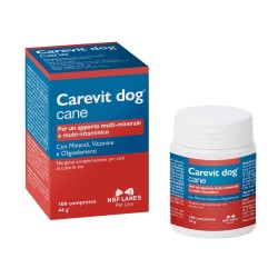 N. B. F. Lanes Carevit Dog...