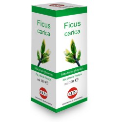 Kos Ficus Carica Mg 100 Ml...