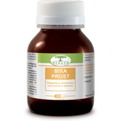 Renaco Italia R. I. Group...