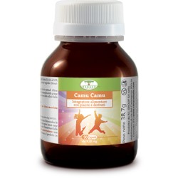 Renaco Italia R. I. Group...