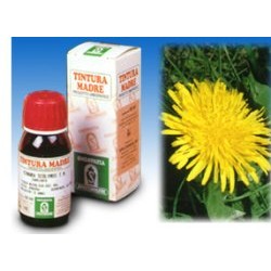 Specchiasol Tarassaco 28...