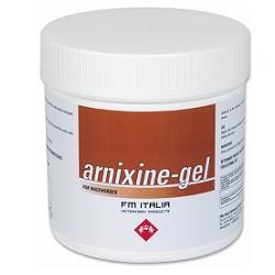 Fm Italia Group Arnixine...