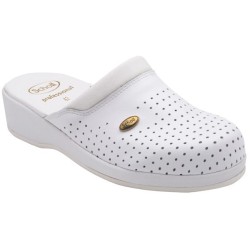 Dr. Scholl's Div. Footwear...