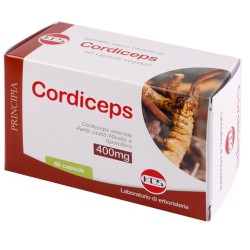 Kos Cordiceps Estratto...
