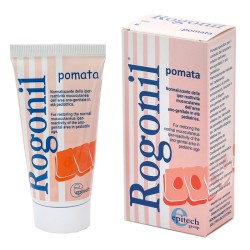 Epitech Group Rogonil...