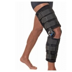 Dual Sanitaly Tutore...