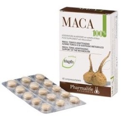 Pharmalife Research Maca...