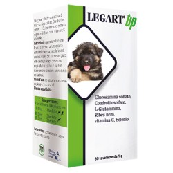 Ddfarma Legart Up 60...