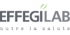 Effegilab