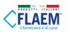 Flaem